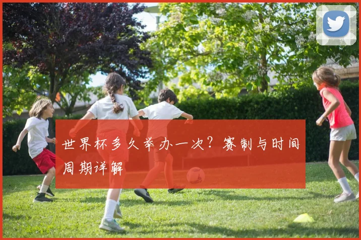 世界杯多久举办一次？赛制与时间周期详解