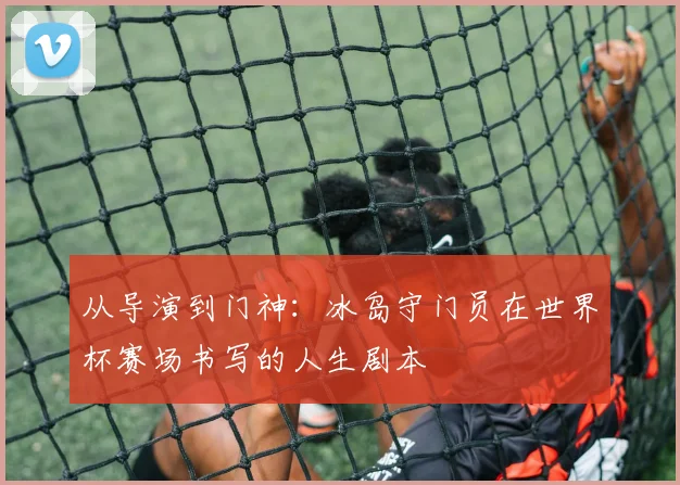 从导演到门神：冰岛守门员在世界杯赛场书写的人生剧本