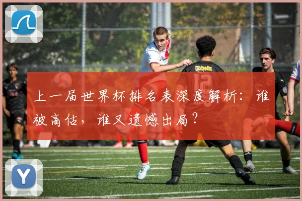 上一届世界杯排名表深度解析：谁被高估，谁又遗憾出局？