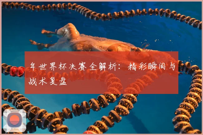 年世界杯决赛全解析：精彩瞬间与战术复盘