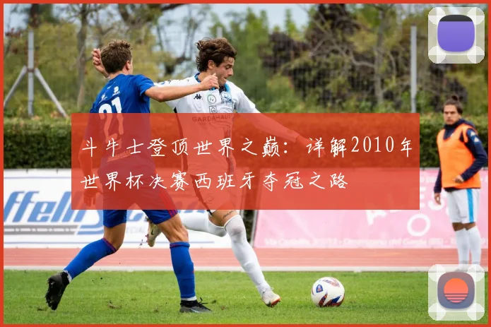 斗牛士登顶世界之巅：详解2010年世界杯决赛西班牙夺冠之路