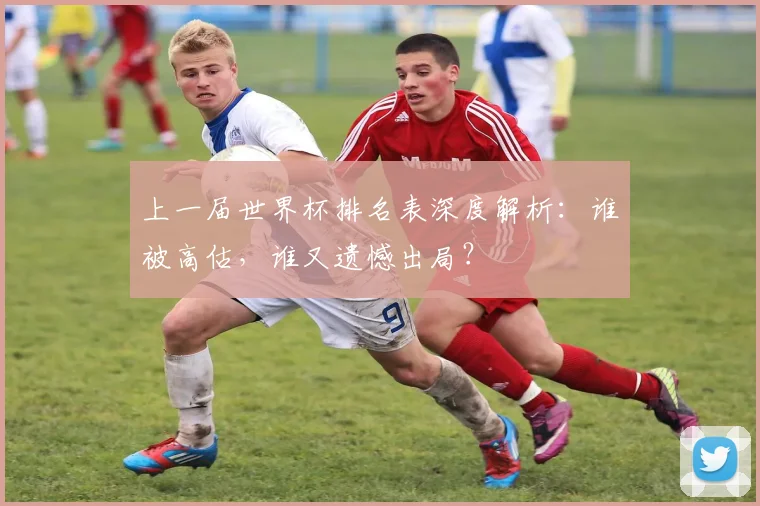 上一届世界杯排名表深度解析：谁被高估，谁又遗憾出局？