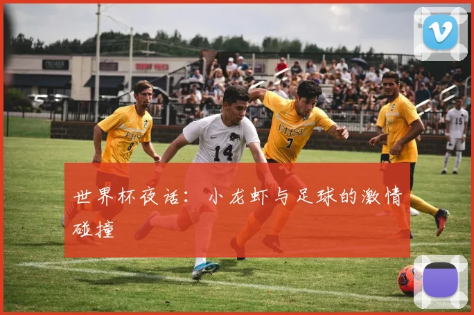 世界杯夜话：小龙虾与足球的激情碰撞