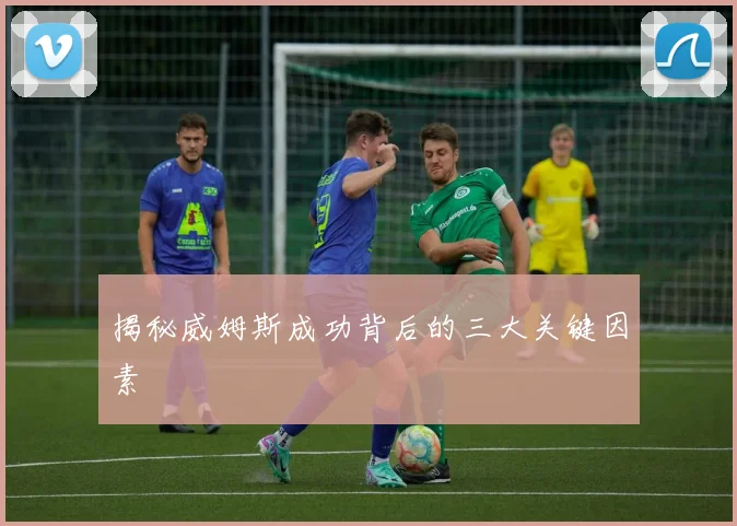 揭秘威姆斯成功背后的三大关键因素